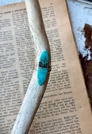 Elongated turquoise\-blue oval ring with a dark patterned center and sterling silver split band, displayed on an antler over an open book\.