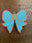 Blue/Orange